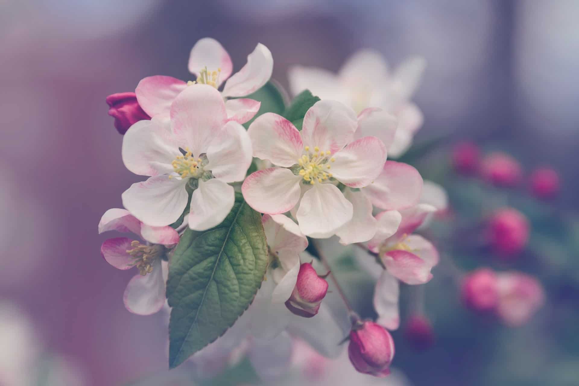 שרות מס' 2 1 marivi pazos 4kX1uoAAohY unsplash